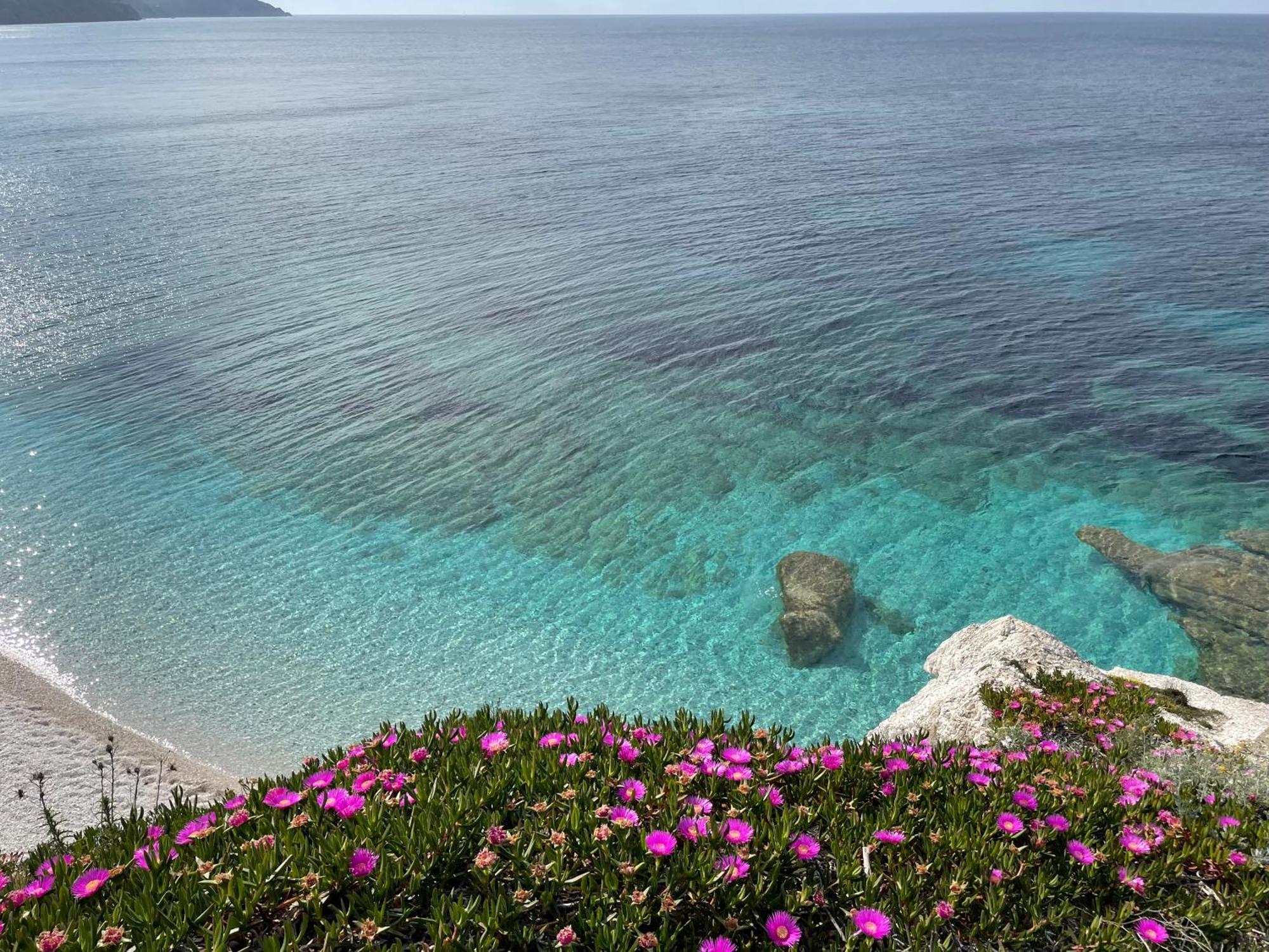 Apartahotel Belvedere Residenza Mediterranea Portoferraio