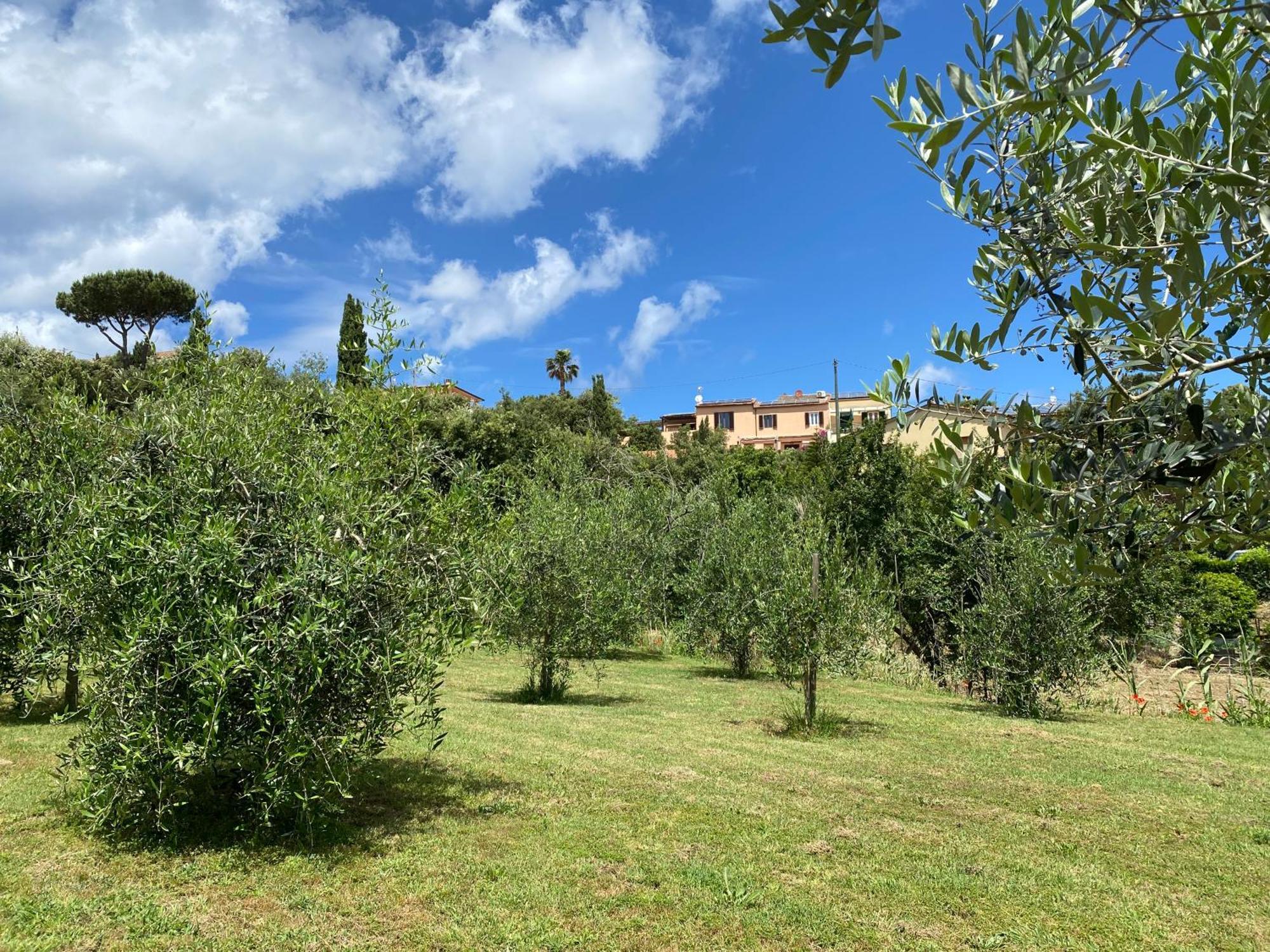Belvedere Residenza Mediterranea 2*